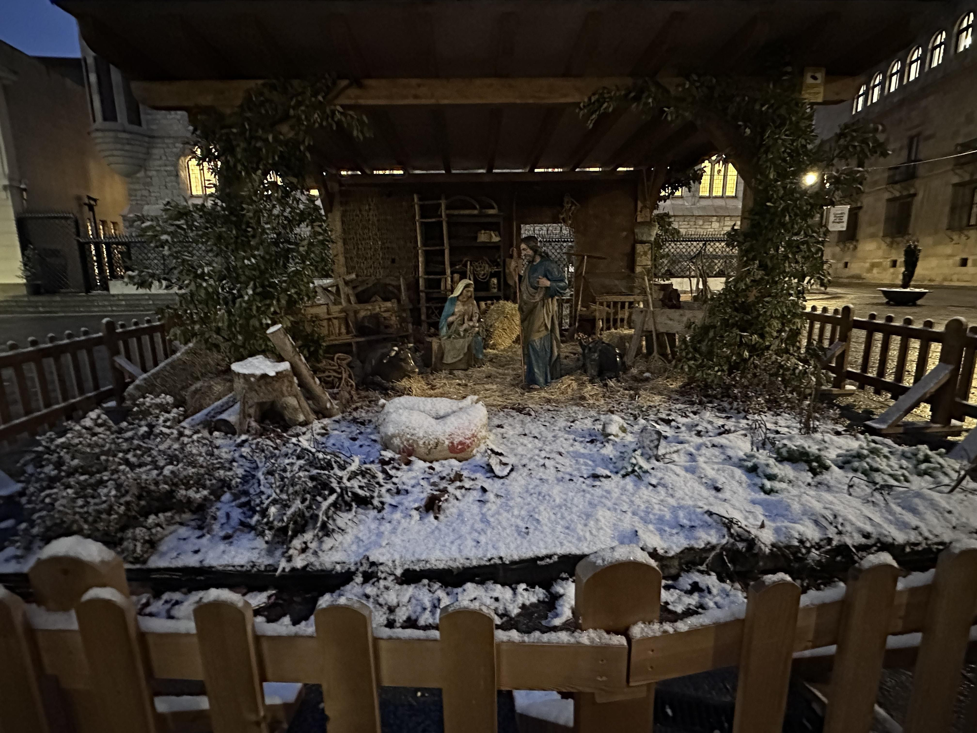 Postales de León nevado: las imágenes que deja la primera nevada del año en la capital