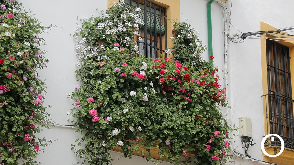 Rejas y Balcones en la C/ Julio Romero de Torres, 9