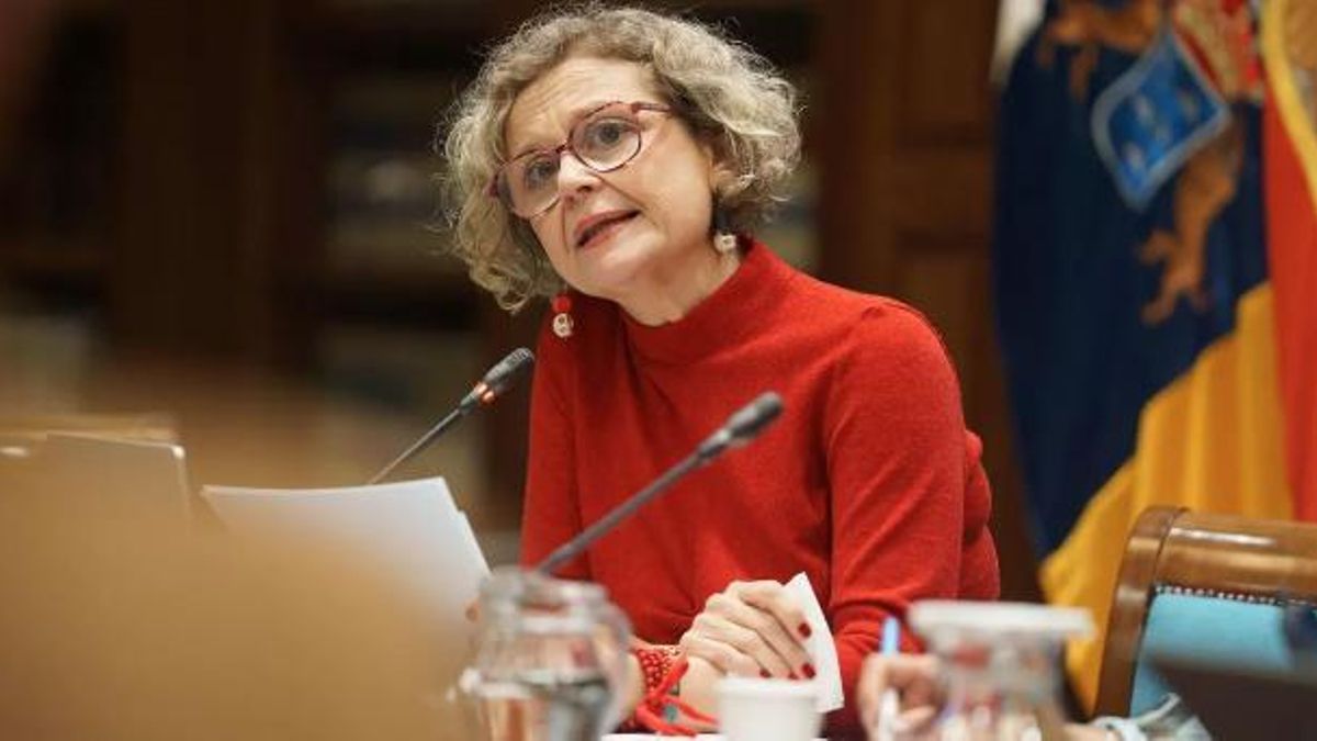 La portavoz del Colectivo Madres VIVA (Valientes, Insistentes, Veraces y Amorosas), sobre lucha contra la violencia vicaria, María Fernanda Santana Cruz. EFE/Ramón de la Rocha