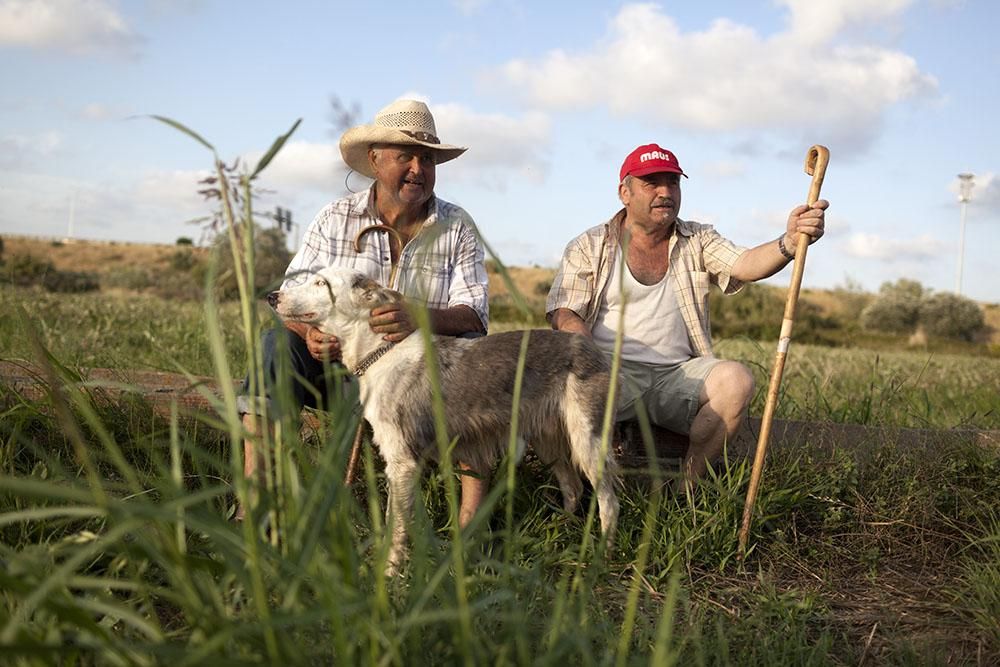 El Parc Agrari se sebrepone al Eurovegas / Edu Bayer