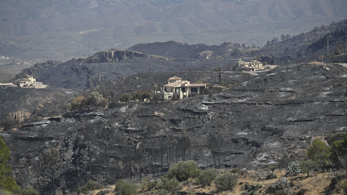 El peligro de tener casas incrustadas en el monte: “Vivimos en un país que arde. Tenemos que aceptarlo y aprender todos”
