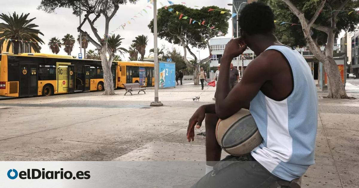 Pursue Higher Education: Steps & Strategies