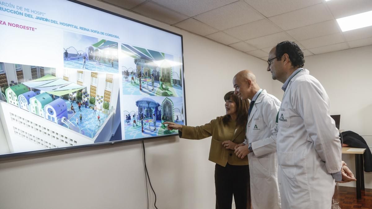 Presentación del proyecto 'El patio de los sueños' en el Hospital Reina Sofía