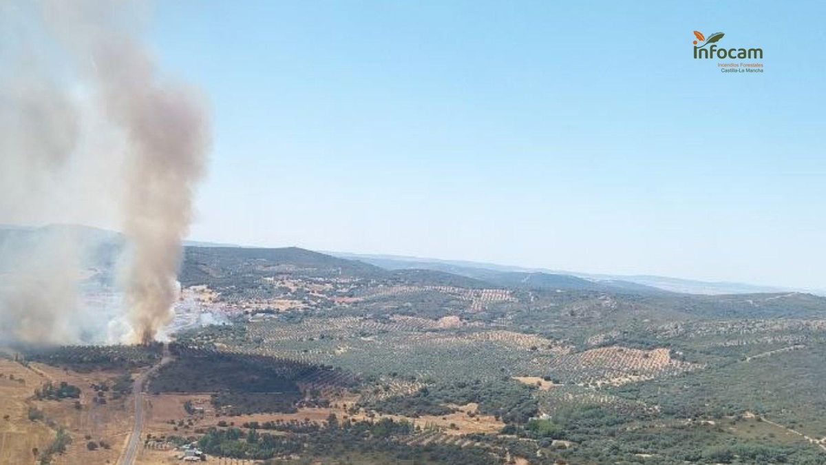 Incendio forestal en la pedanía de Viñuela, en Almodóvar del Campo (Ciudad Real)