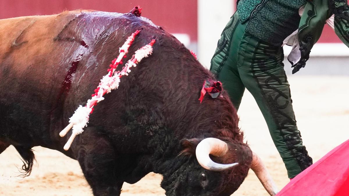 ¿A los toros por San Isidro? Un plan en decadencia subvencionado por la Comunidad de Madrid