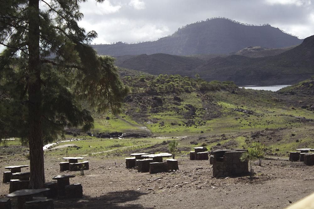 Lluvias de noviembre: un regalo para las presas y la agricultura de Gran Canaria. (Foto: Cirenia Vico)