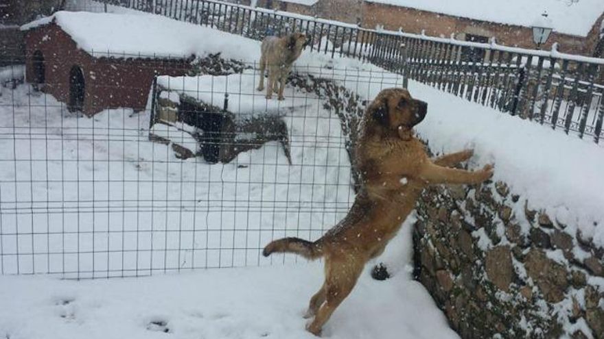 Nieve en Huergas de Babia. / Pepe Moriscal