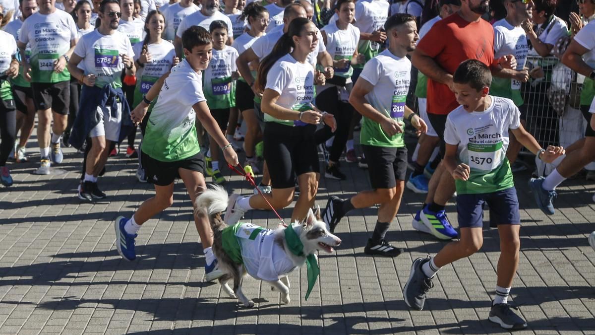 Córdoba en Marcha Contra el Cáncer 2026