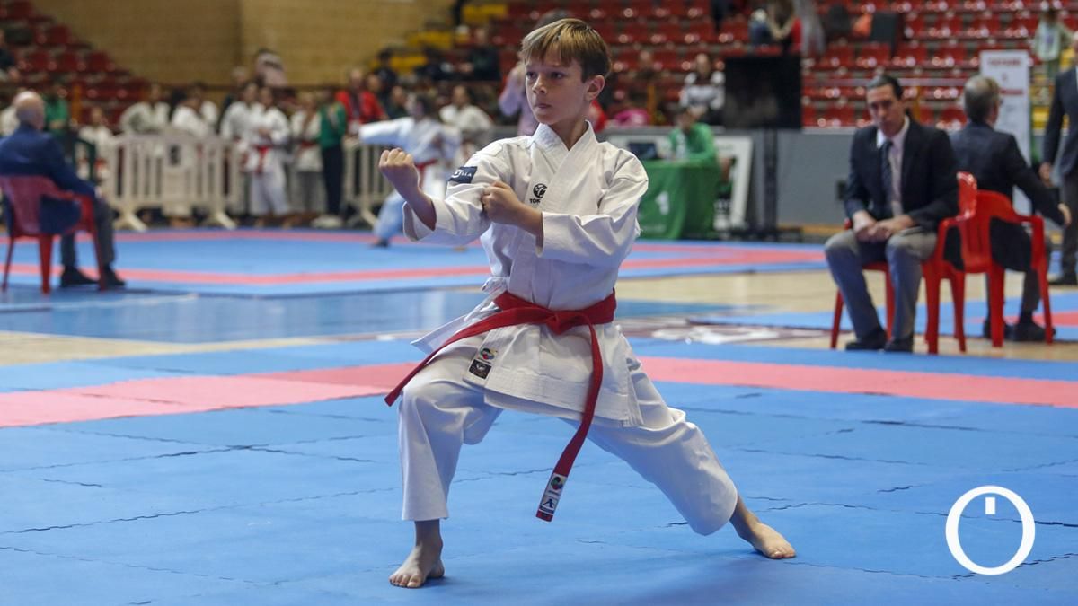 Campeonato de Andalucía Infantil y Juvenil de kárate