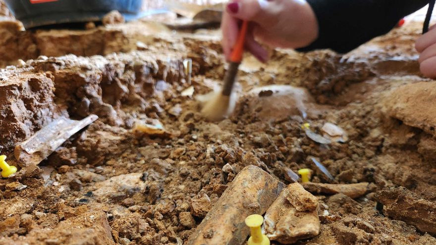 Más de 1.500 restos en una cueva de Burgos ayudan a reconstruir cómo era un campamento neandertal hace 46.000 años