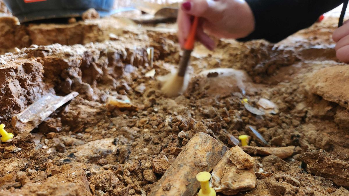 Más de 1.500 restos en una cueva de Burgos ayudan a reconstruir cómo era un campamento neandertal hace 46.000 años