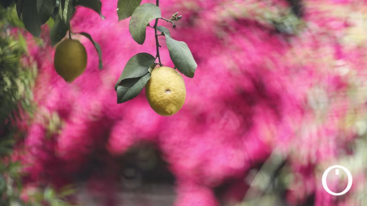 Patio en la C/ La Palma, 3