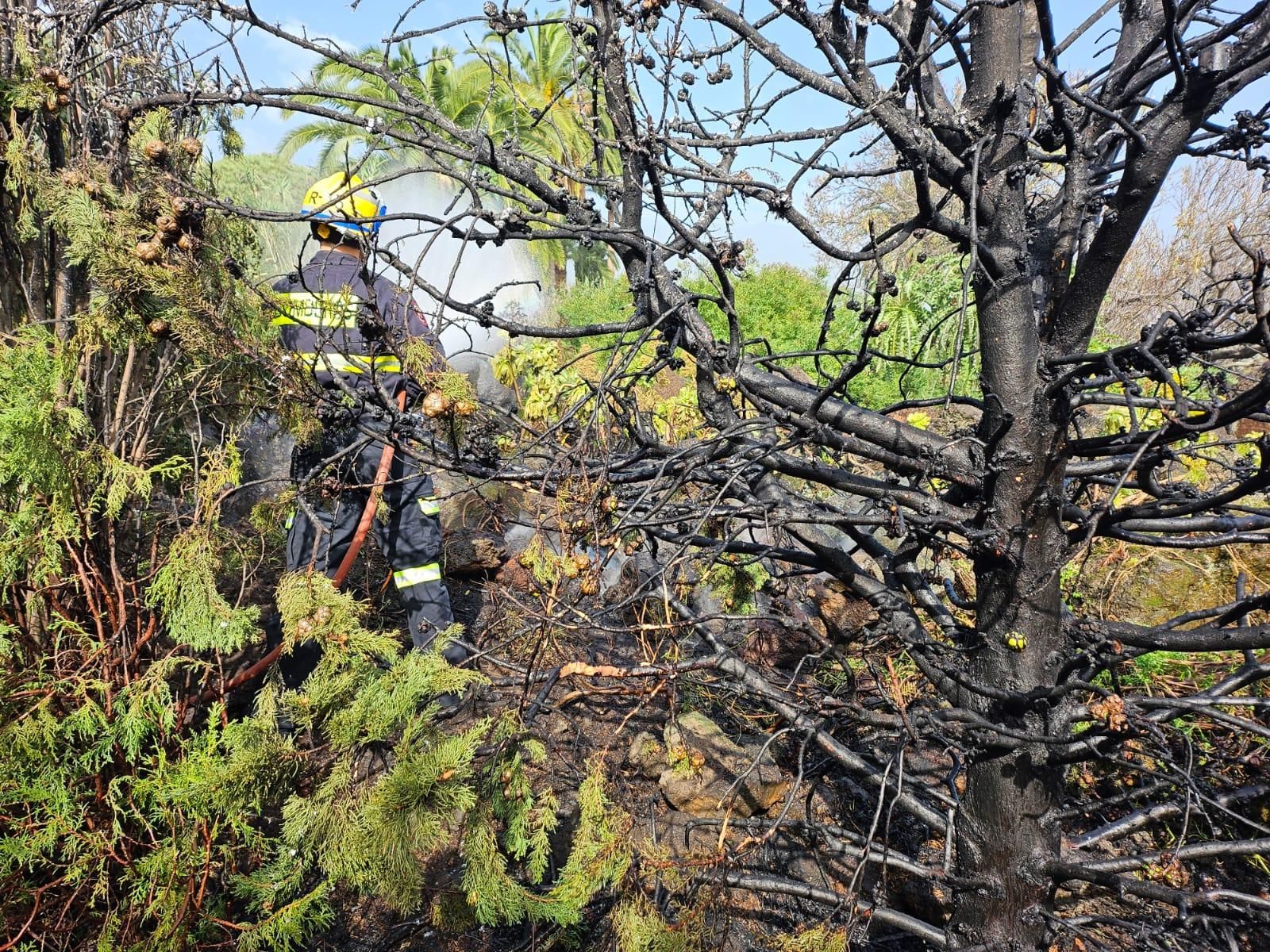El incendio de Las Ledas se registró junto a una vivienda. BOMBEROS LA PALMA