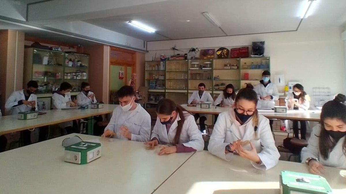 Facultad de Ciencias Ambientales de la UCLM