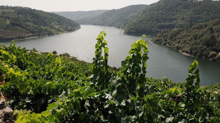 La Xunta minimiza el informe desfavorable de Icomos ante la fase final de la candidatura de la Ribeira Sacra a Patrimonio Mundial