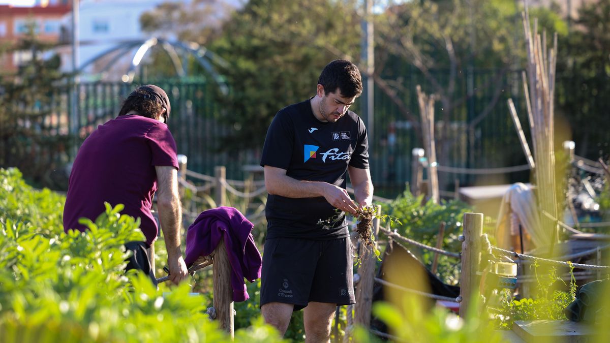 Jaime y Carlos recogen la cosecha de su parcela del huerto.