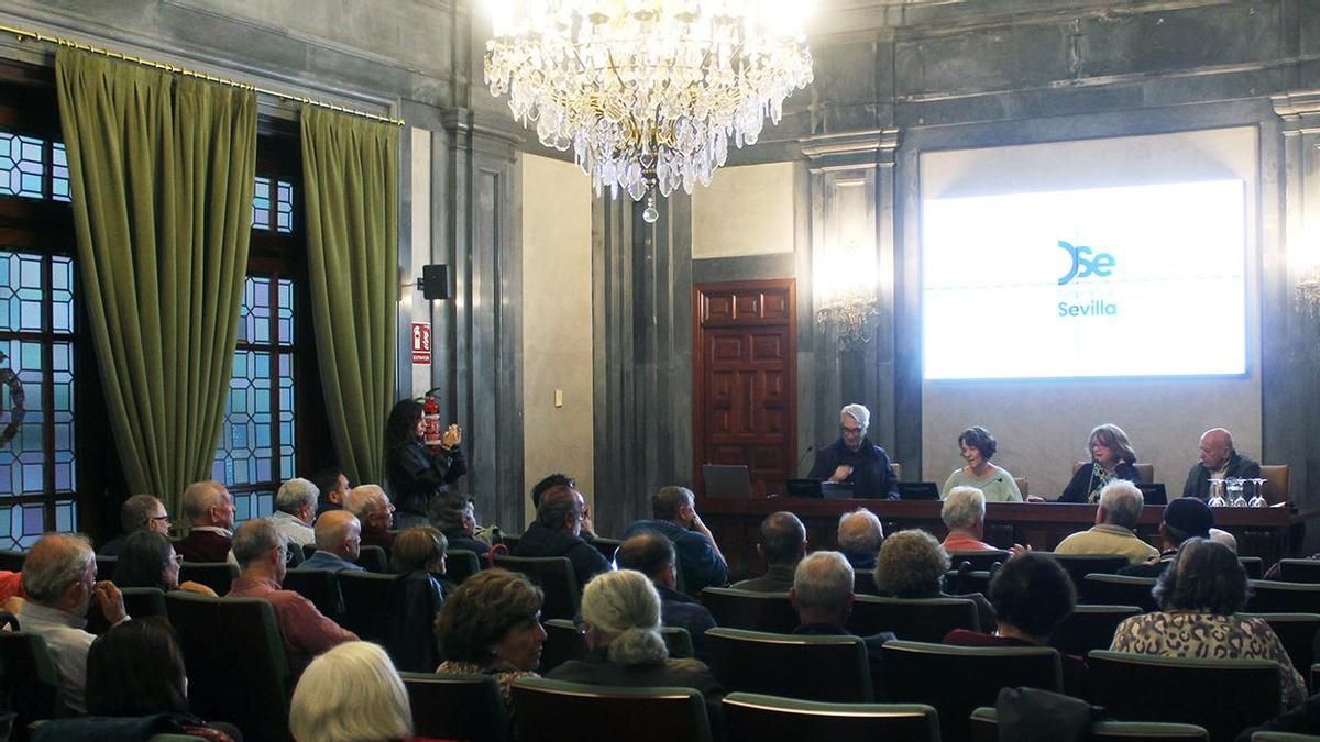 La Casa de la Provincia acogió el encuentro de colectivos sevillanos.