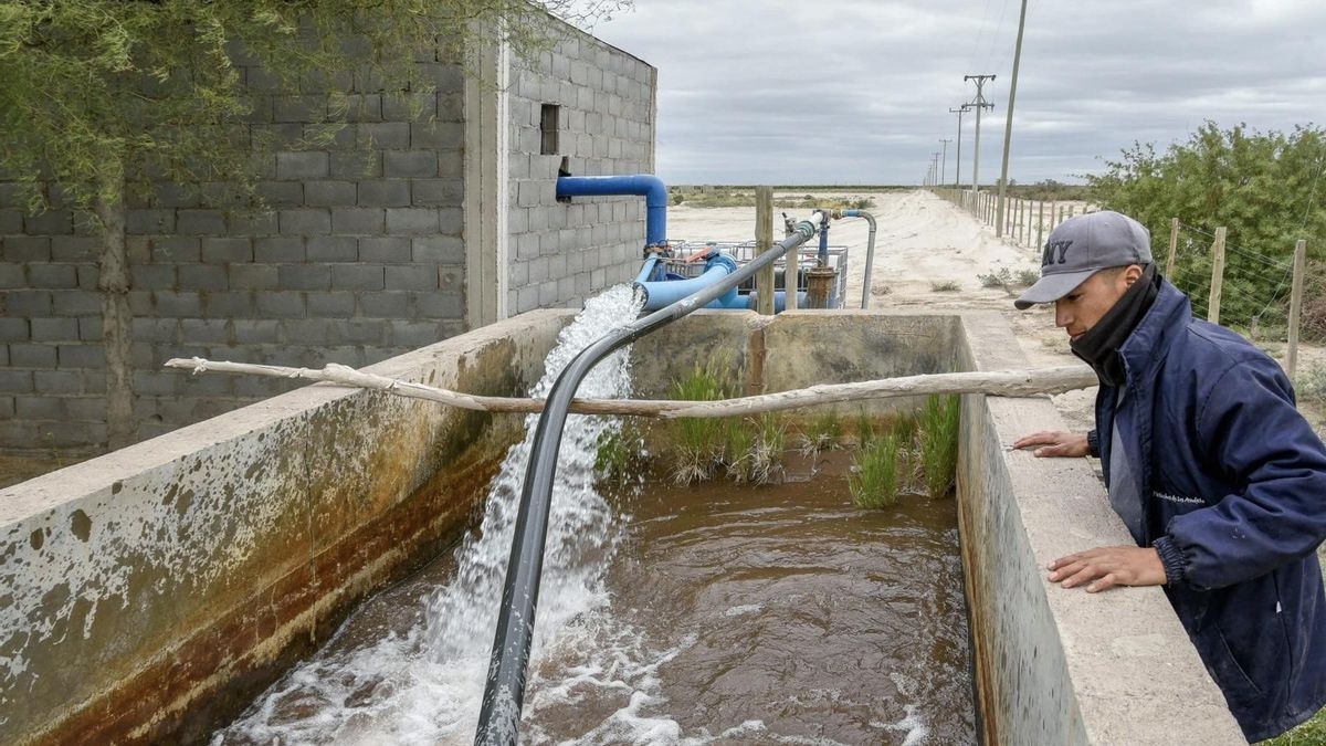Un trabajador responsable del riego en la finca Pistachos de los Andes revisa una de las piletas. La empresa utiliza entre 7.000 y 8.000 metros cúbicos de agua por hectárea al año.