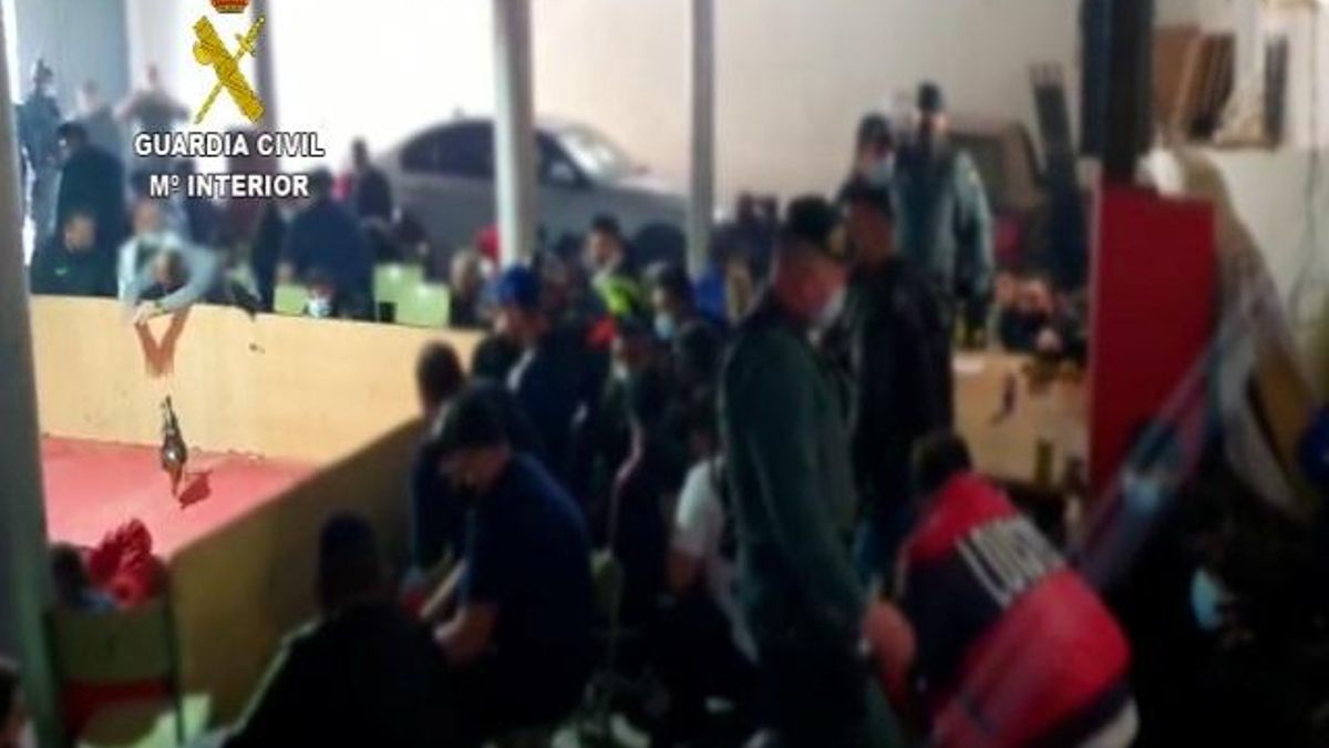La Guardia Civil interviene en una pelea de gallos en El Ejido con 90 personas sin respetar las normas covid