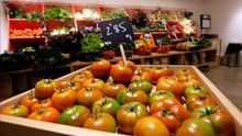 Ellas toman el relevo de la agricultura en Bizkaia