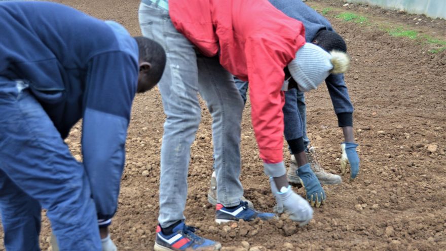 Huertas solidarias en Navarra: los solicitantes de asilo siembran la comida de 900 familias necesitadas
