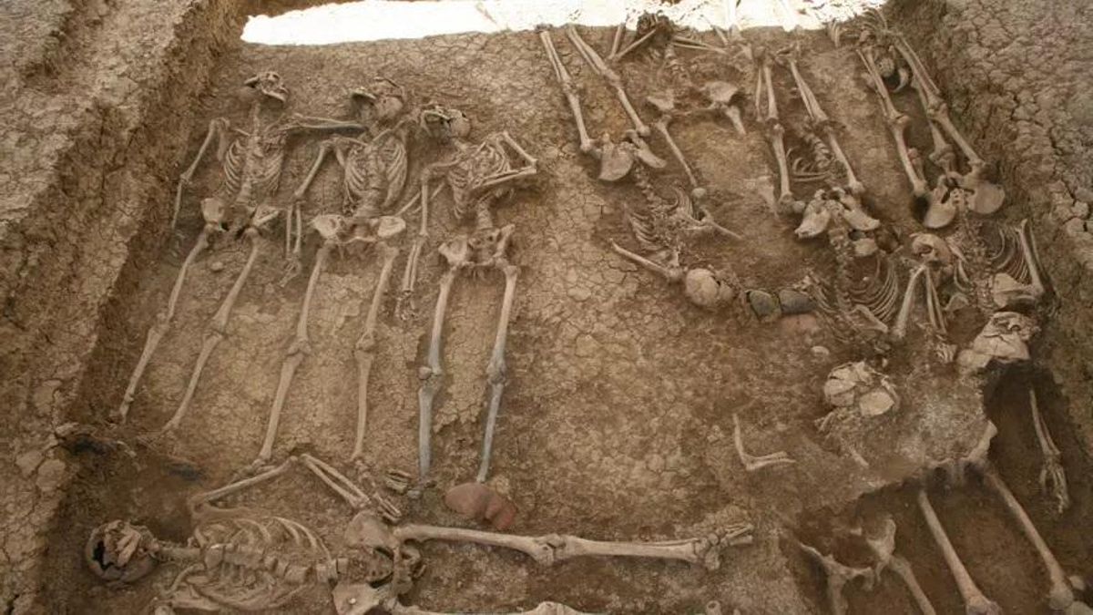 Una hemeroteca contra la represión: un sistema online reconstruye la biografía de los perseguidos por el franquismo