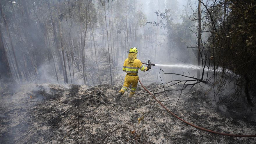 Los bomberos forestales de Cantabria trabajan "sin coordinación": "Se queman más de 600 hectáreas al año de manera innecesaria"