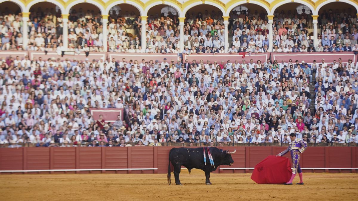 Archivo - Detalle de la Maestranza llena tras la venta de todas las localidades durante la quinta corrida de abono de la temporada de toros en la Real Maestranza de Caballería de Sevilla, a 29 de abril de 2022 en Sevilla (Andalucía, España) (Foto de archi