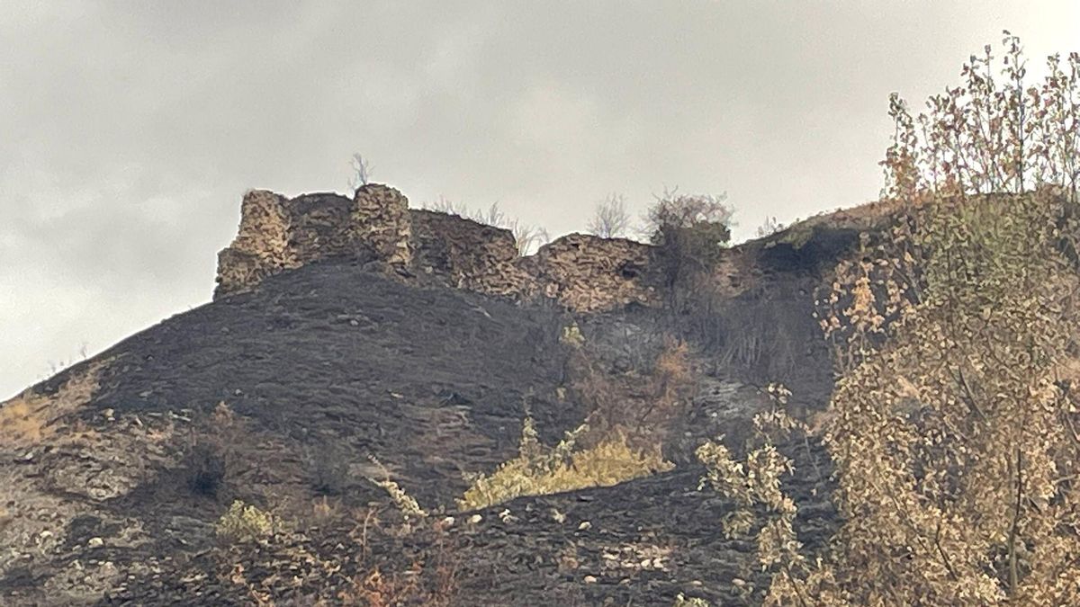 Restos de la muralla de Viguera