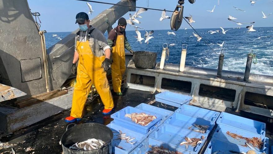 España debe prohibir la pesca industrial en más zonas del Mediterráneo ante el riesgo de colapso de especies