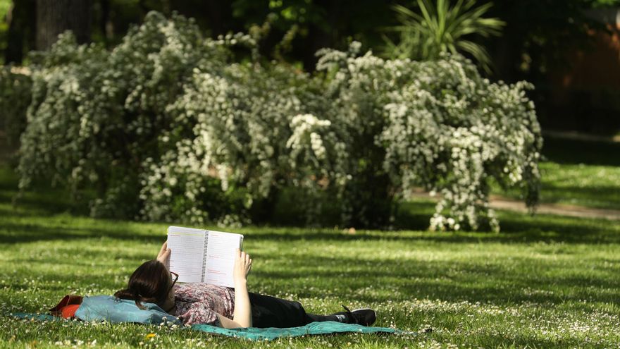 Cierre de parques este miércoles en Madrid por temperaturas de hasta 38ºC y fuertes vientos