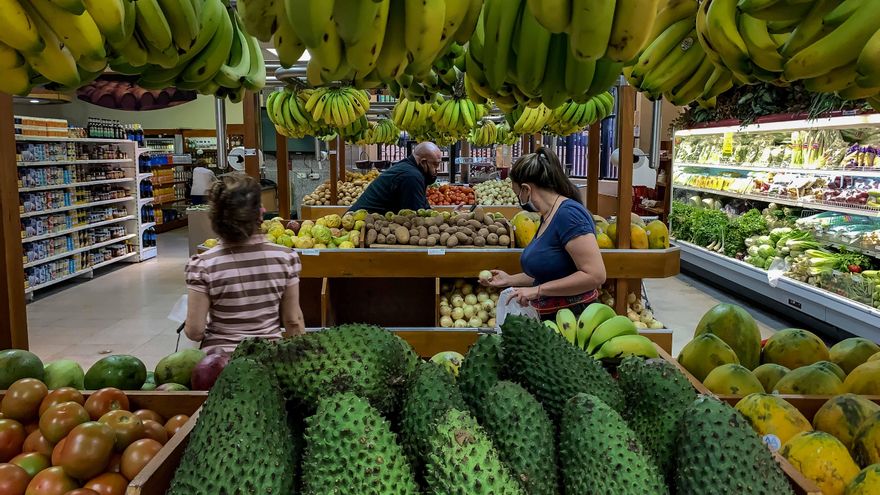 Una persona en Venezuela necesita 100 dólares al mes para gastos de alimentación, dice ONG