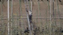 Una de las personas que estaban encaramadas en la valla el 13 de agosto de 2014 desciende por una escalera situada en suelo español antes de ser devuelta en caliente posteriormente./ Foto: Efe