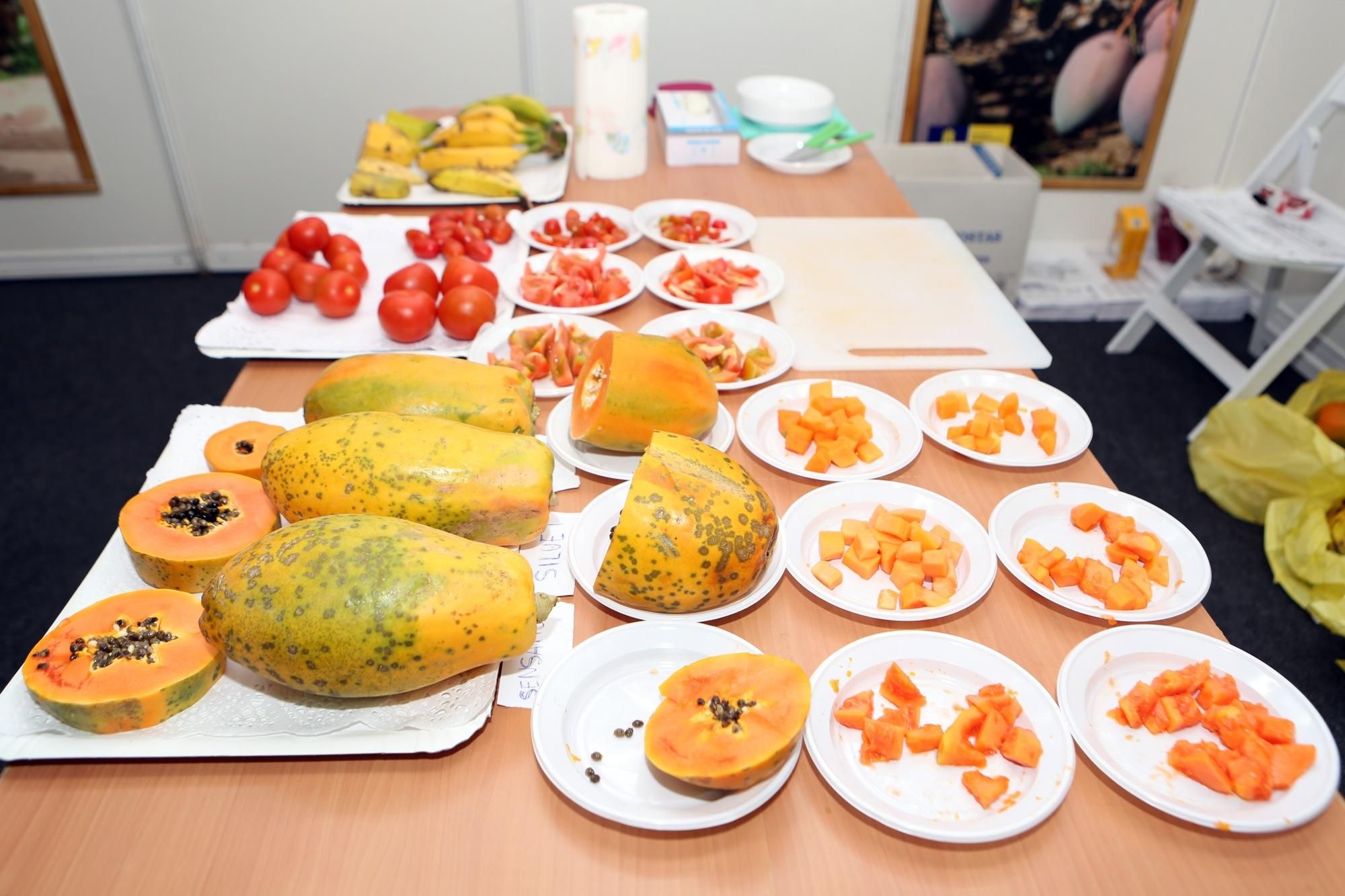 Feria Gran Canaria Me Gusta en Infecar (Las Palmas de Gran Canaria). Alejandro Ramos.