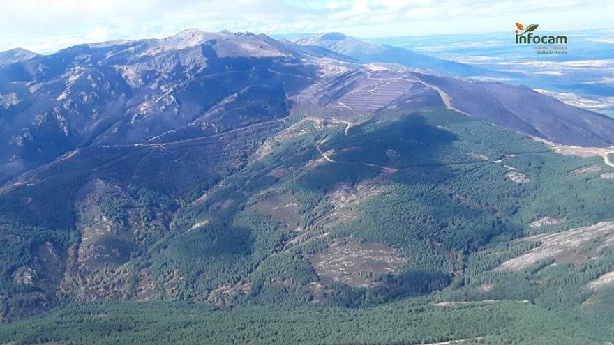 Los dos ganaderos afectados por el incendio de Peñalba piden ayudas "urgentes" para alimentar al ganado