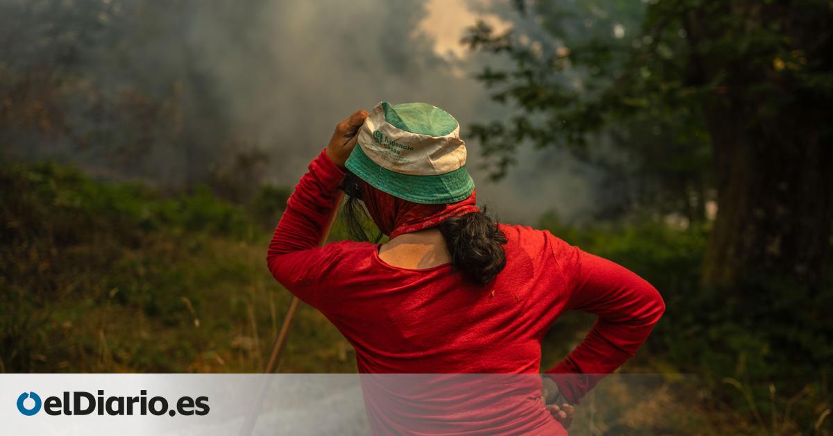 Desolación a pie de tierra quemada de Ourense:  Estábamos absolutamente solos 