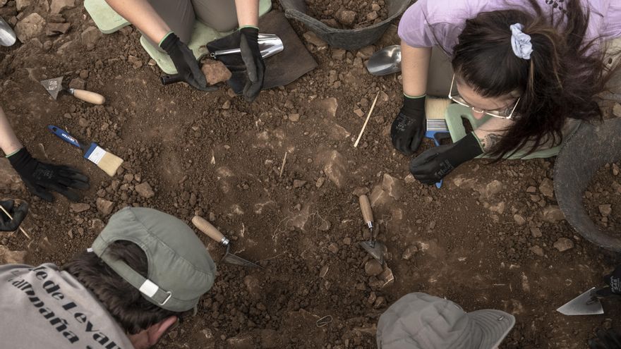 Alumnos del curso de Arqueoantro trabajan en la fosa.