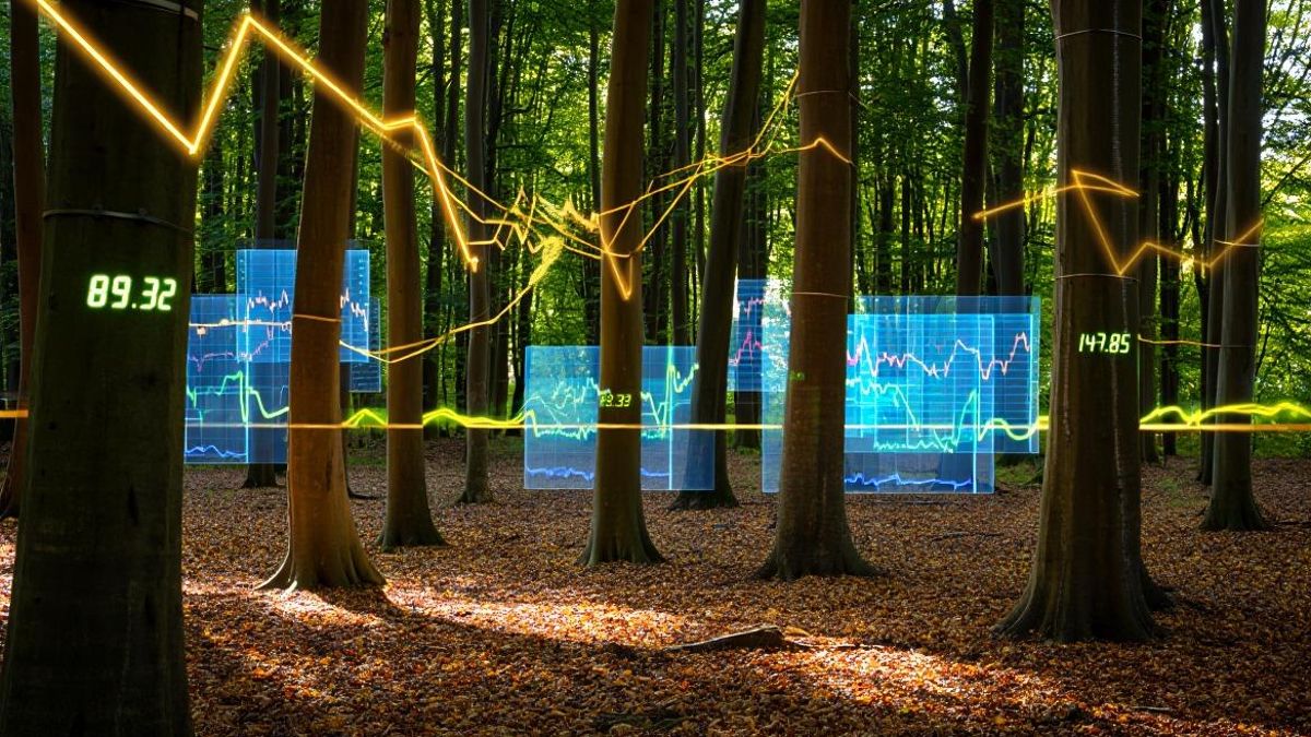 Real Capital Natural