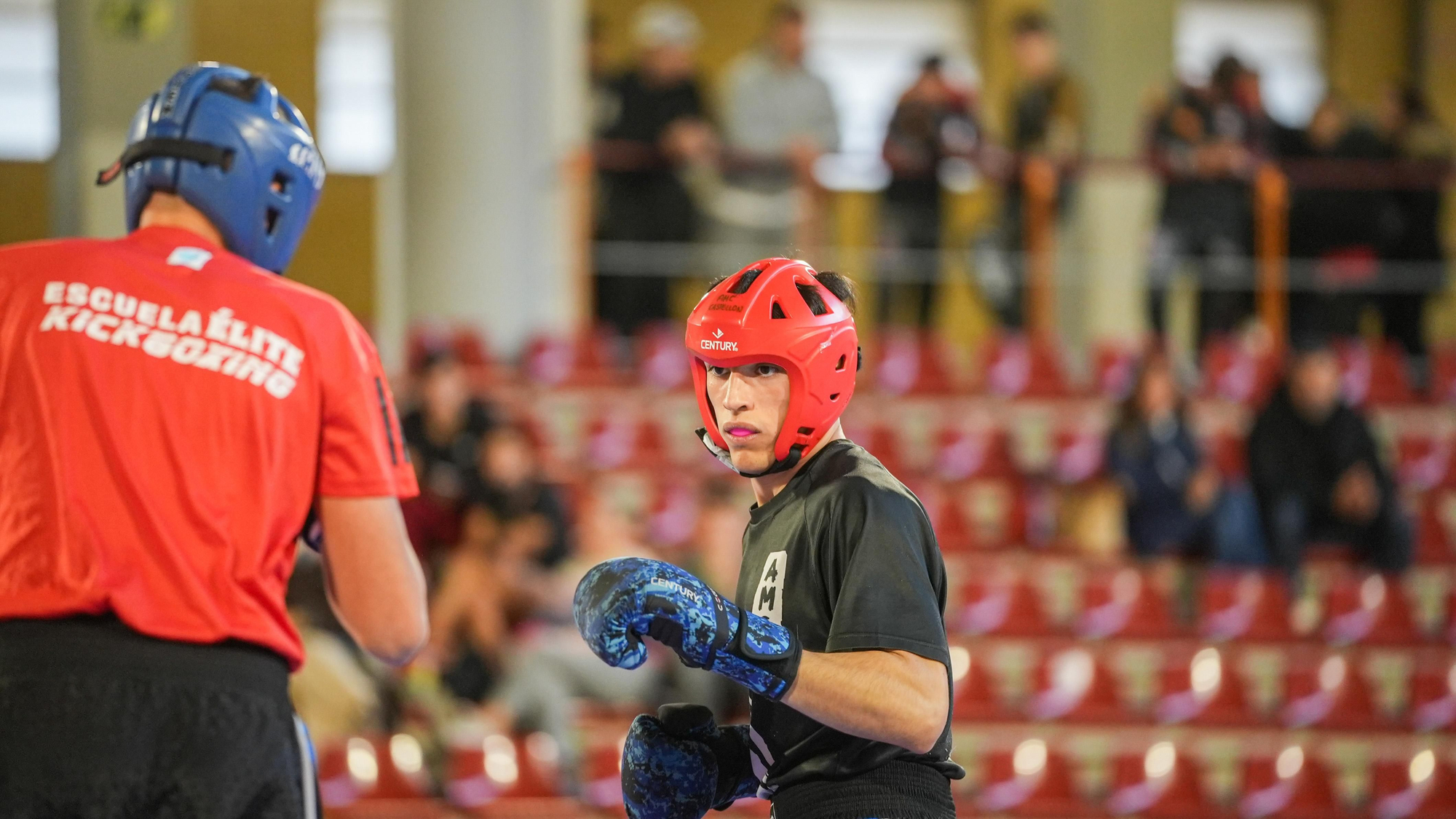 Kickboxing Stars League