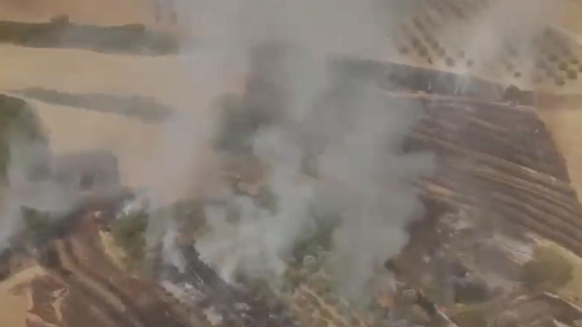 Estabilizado un incendio forestal en Santa Engracia de Jubera