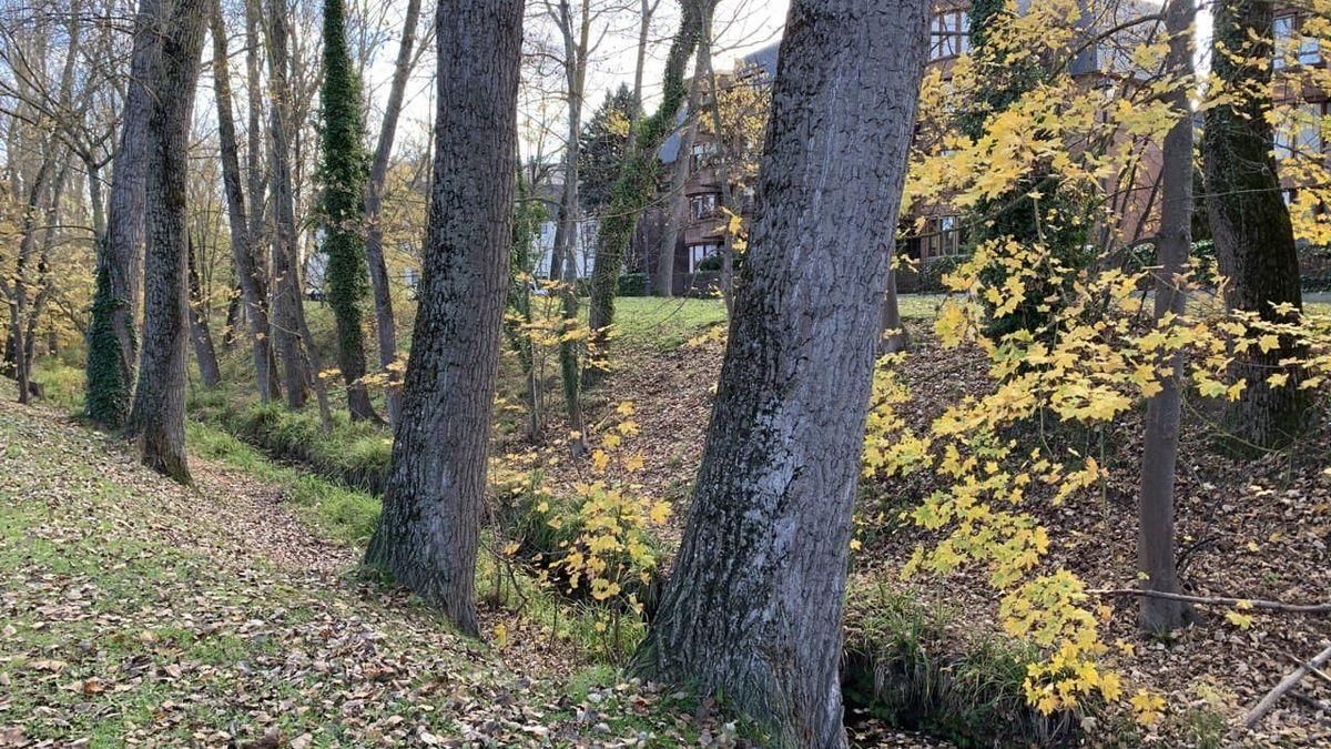 La semana en Euskadi, en imágenes