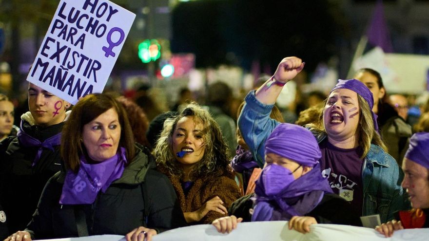 Manifestantes en Santander por el 25N, Día Internacional de la Eliminación de la Violencia contra la Mujer