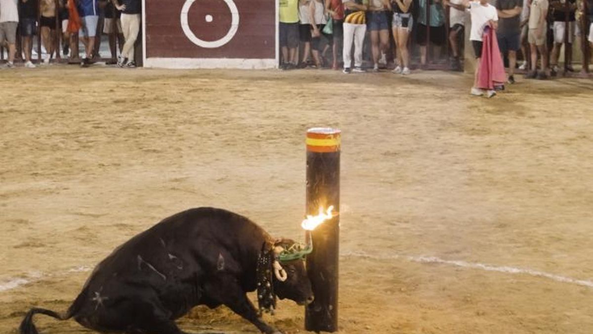 Castilla-La Mancha crea un Consejo Asesor de Asuntos Taurinos por decreto que está activo en 20 días