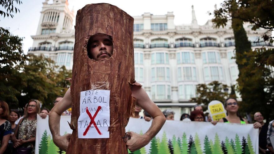 Vecinos y Marisa Paredes, contra la tala de Santa Ana: "Almeida está asolando las plazas, no hay sombra para refugiarse"