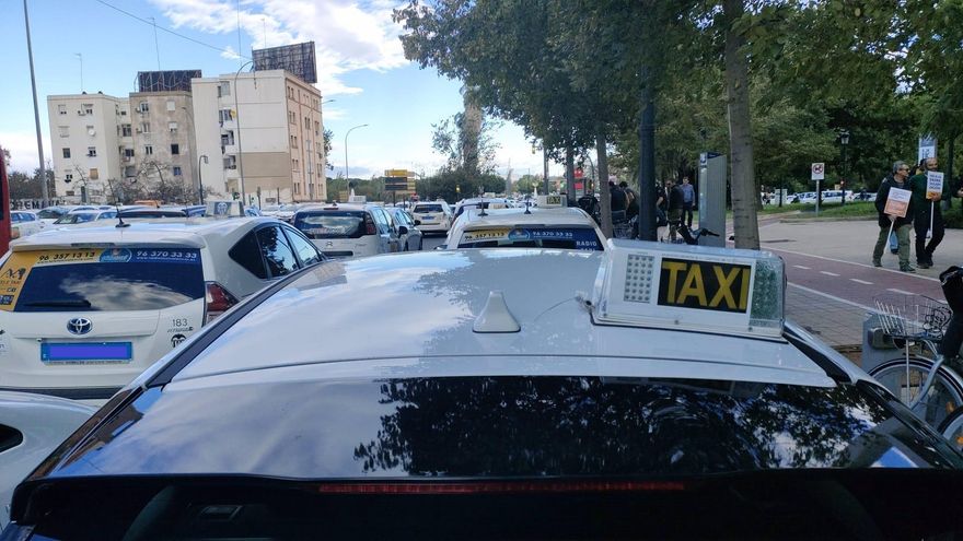 València muestra en tiempo real la disponibilidad de taxis y de plazas para personas con movilidad reducida
