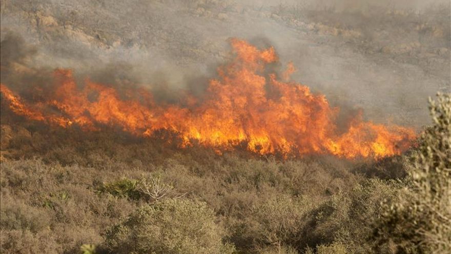 Infoca y bomberos intentan sofocar un incendio forestal en Ayamonte (Huelva)