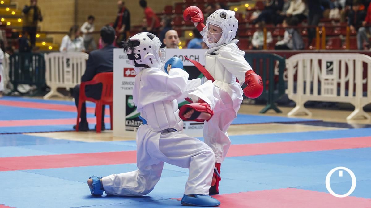Campeonato de Andalucía Infantil y Juvenil de kárate