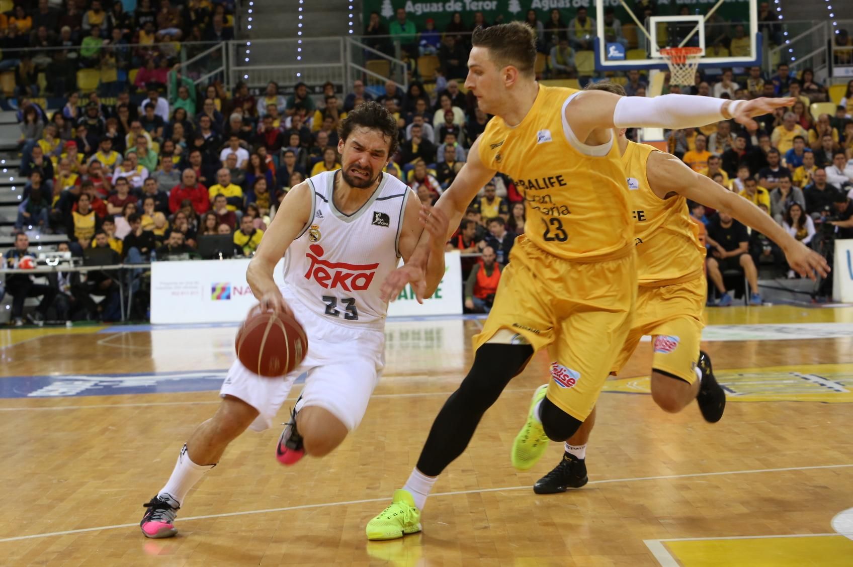 Partido entre el Herbalife Gran Canaria y el Real Madrid. (Alejandro Ramos).