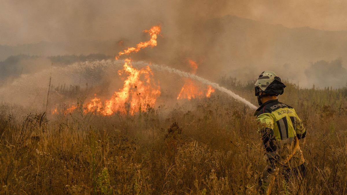 Un bombero trabaja en las labores de extinción del incendio forestal