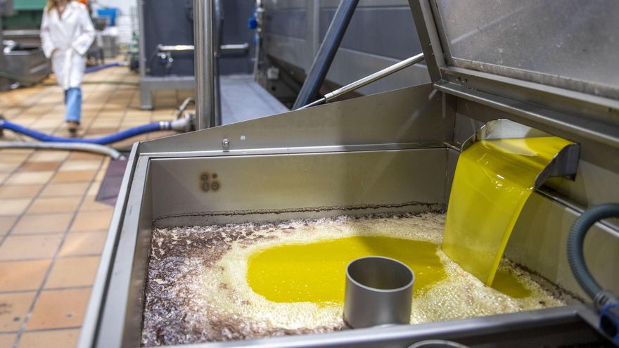 El aceite repunta ante la incertidumbre sobre la próxima cosecha por la falta de lluvias